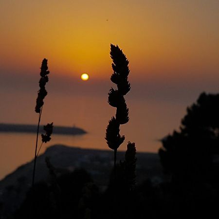 Your Nest In Nazare - Ocean View Villa מראה חיצוני תמונה